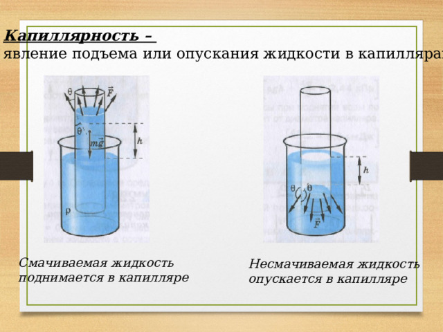 Капиллярность