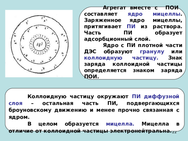  Агрегат вместе с ПОИ составляет ядро мицеллы .  Заряженное ядро мицеллы, притягивает ПИ из раствора. Часть ПИ образует адсорбционный слой.  Ядро с ПИ плотной части ДЭС образуют гранулу или коллоидную частицу. Знак заряда коллоидной частицы определяется знаком заряда ПОИ.   Коллоидную частицу окружают ПИ диффузной слоя – остальная часть ПИ, подвергающихся броуновскому движению и менее прочно связанная с ядром.  В целом образуется мицелла. Мицелла в отличие от коллоидной частицы электронейтральна. 21 