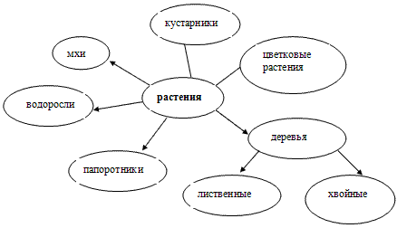 Кластер в связи. Кластер растения. Кластер окружающий мир. Кластер растительный мир. Кластер на тему разнообразие растений.