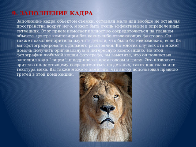 9. ЗАПОЛНЕНИЕ КАДРА  Заполнение кадра объектом съемки, оставляя мало или вообще не оставляя пространства вокруг него, может быть очень эффективным в определенных ситуациях. Этот прием помогает полностью сосредоточиться на главном объекте, центре композиции без каких-либо отвлекающих факторов. Он также позволяет зрителю изучить детали, что было бы невозможно, если бы вы сфотографировали с дальнего расстояния. Во многих случаях это может помочь получить оригинальную и интересную композицию. На этой фотографии любимой кошки фотографа, вы заметите, что он полностью заполнил кадр 