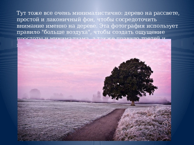  Тут тоже все очень минималистично: дерево на рассвете, простой и лаконичный фон, чтобы сосредоточить внимание именно на дереве. Эта фотография использует правило 