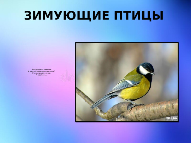 Зимующие птицы    Кто красуется на ветке  В желтой праздничной жилетке?  Это маленькая птичка,  А зовут ее ….   