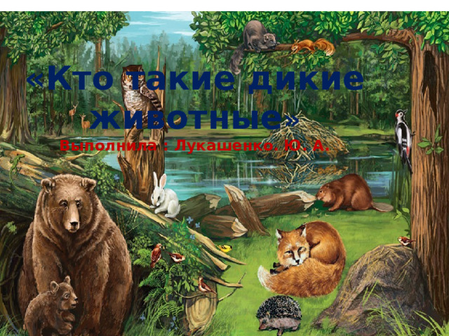 «Кто такие дикие животные »  Выполнила : Лукашенко. Ю. А.   