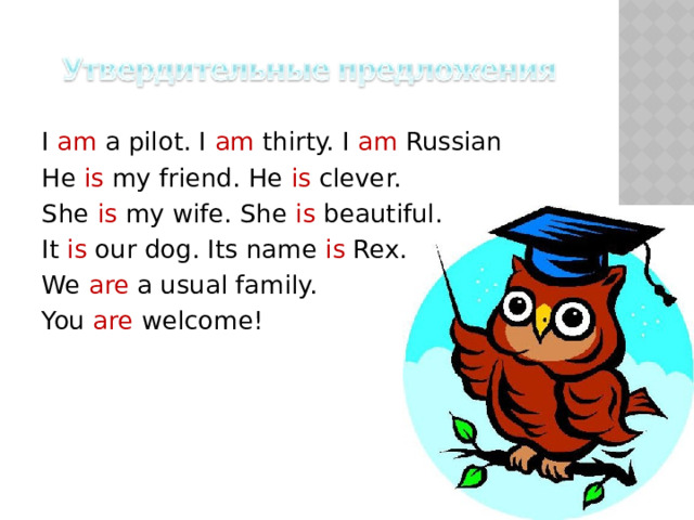 I am a pilot. I am thirty. I am Russian He is my friend. He is clever. She is my wife. She is beautiful. It is our dog. Its name is Rex. We are a usual family. You are welcome! 