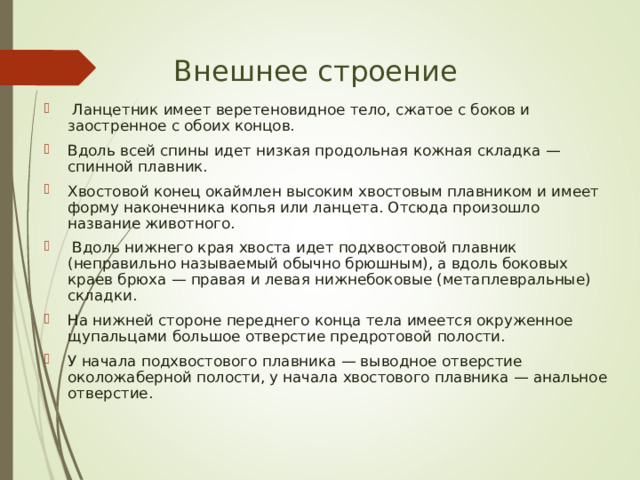 Внешнее строение   Ланцетник имеет веретеновидное тело, сжатое с боков и заостренное с обоих концов. Вдоль всей спины идет низкая продольная кожная складка — спинной плавник. Хвостовой конец окаймлен высоким хвостовым плавником и имеет форму наконечника копья или ланцета. Отсюда произошло название животного.  Вдоль нижнего края хвоста идет подхвостовой плавник (неправильно называемый обычно брюшным), а вдоль боковых краев брюха — правая и левая нижнебоковые (метаплевральные) складки. На нижней стороне переднего конца тела имеется окруженное щупальцами большое отверстие предротовой полости. У начала подхвостового плавника — выводное отверстие околожаберной полости, у начала хвостового плавника — анальное отверстие. 