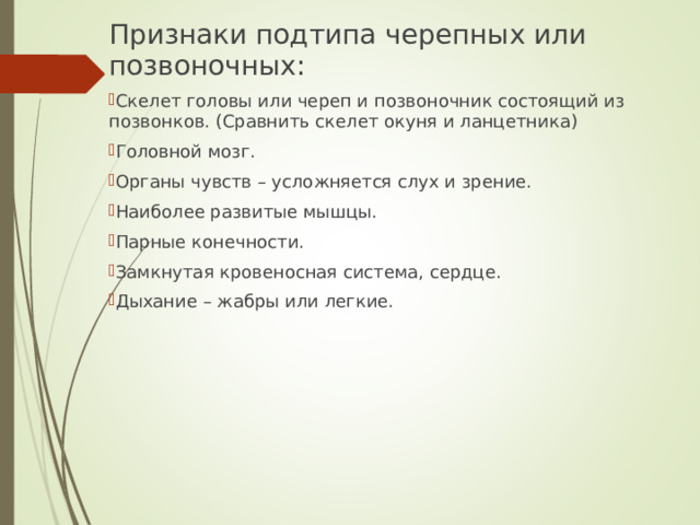 Признаки подтипа черепных или позвоночных: Скелет головы или череп и позвоночник состоящий из позвонков. (Сравнить скелет окуня и ланцетника) Головной мозг. Органы чувств – усложняется слух и зрение. Наиболее развитые мышцы. Парные конечности. Замкнутая кровеносная система, сердце. Дыхание – жабры или легкие.  