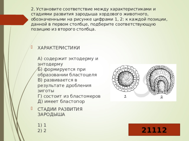 2. Установите соответствие между характеристиками и стадиями развития зародыша хордового животного, обозначенными на рисунке цифрами 1, 2: к каждой позиции, данной в первом столбце, подберите соответствующую позицию из второго столбца. ХАРАКТЕРИСТИКИ   А) содержит эктодерму и энтодерму  Б) формируется при образовании бластоцеля  В) развивается в результате дробления зиготы  Г) состоит из бластомеров  Д) имеет бластопор СТАДИИ РАЗВИТИЯ ЗАРОДЫША   1) 1  2) 2 21112 