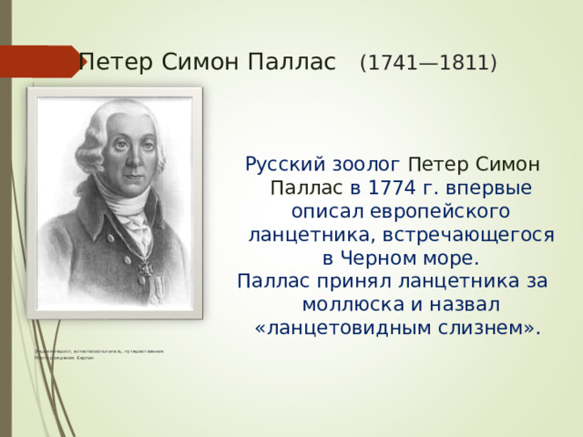   Петер Симон Паллас (1741—1811) Русский зоолог Петер Симон Паллас в 1774 г. впервые описал европейского ланцетника, встречающегося в Черном море. Паллас принял ланцетника за моллюска и назвал «ланцетовидным слизнем». Энциклопедист, естествоиспытатель, путешественник Место рождения: Берлин 