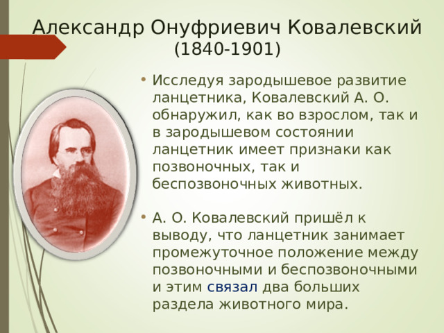    Александр Онуфриевич Ковалевский (1840-1901)   Исследуя зародышевое развитие ланцетника, Ковалевский А. О. обнаружил, как во взрослом, так и в зародышевом состоянии ланцетник имеет признаки как позвоночных, так и беспозвоночных животных.  А. О. Ковалевский пришёл к выводу, что ланцетник занимает промежуточное положение между позвоночными и беспозвоночными и этим связал два больших раздела животного мира. 