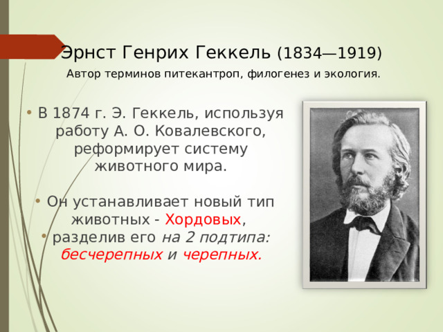 Эрнст Генрих Геккель (1834—1919)   Автор терминов питекантроп, филогенез и экология. В 1874 г. Э. Геккель, используя работу А. О. Ковалевского, реформирует систему животного мира. Он устанавливает новый тип животных - Хордовых , разделив его на 2 подтипа: бесчерепных и черепных.  