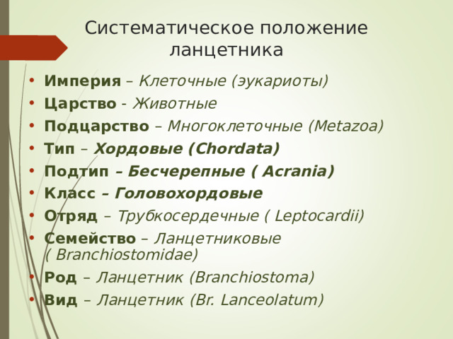 Систематическое положение ланцетника Империя – Клеточные (эукариоты) Царство - Животные Подцарство – Многоклеточные ( Metazoa) Тип – Хордовые ( Chordata) Подтип – Бесчерепные ( Acrania) Класс – Головохордовые Отряд – Трубкосердечные ( Leptocardii) Семейство – Ланцетниковые ( Branchiostomidae) Род – Ланцетник ( Branchiostoma) Вид – Ланцетник ( Br. Lanceolatum)  