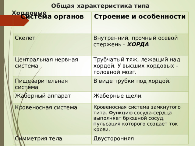  Общая характеристика типа Хордовые   Система органов Строение и особенности Скелет Внутренний, прочный осевой стержень - ХОРДА  Центральная нервная система Трубчатый тяж, лежащий над хордой. У высших хордовых – головной мозг. Пищеварительная система В виде трубки под хордой. Жаберный аппарат Жаберные щели. Кровеносная система Кровеносная система замкнутого типа. Функцию сосуда-сердца выполняет брюшной сосуд, пульсация которого создает ток крови. Симметрия тела Двусторонняя 