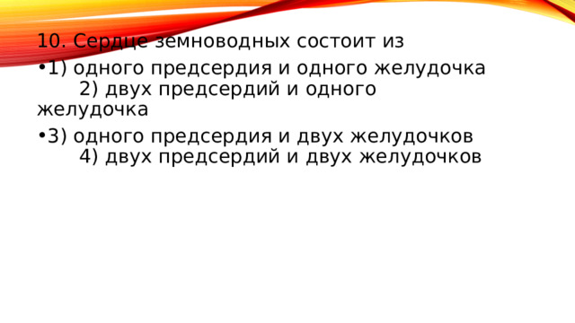 10. Сердце земноводных состоит из 1) одного предсердия и одного желудочка 2) двух предсердий и одного желудочка 3) одного предсердия и двух желудочков 4) двух предсердий и двух желудочков
