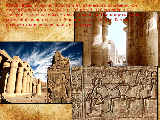 Рамсес II был огромного роста и атлетического сложения. Он имел 42 жены и наложницы и 187 детей: 120 сыновей и 67 дочерей, три из которых стали его женами. Двенадцать своих сыновей фараон пережил. В период царствования Рамсеса II по всей стране воздвигались его статуи. 