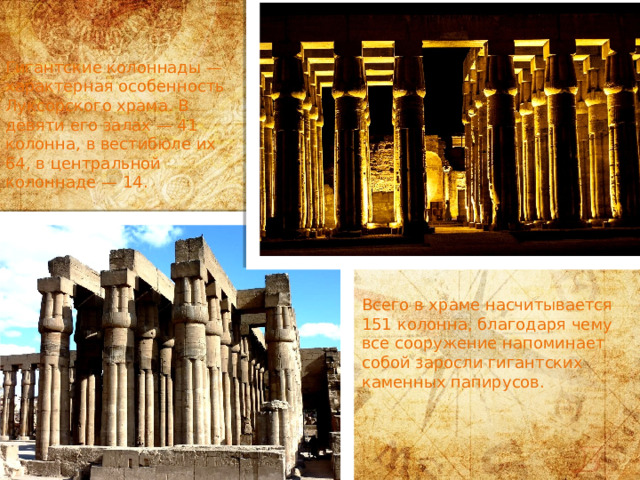 Гигантские колоннады — характерная особенность Луксорского храма. В девяти его залах — 41 колонна, в вестибюле их 64, в центральной колоннаде — 14. Всего в храме насчитывается 151 колонна, благодаря чему все сооружение напоминает собой заросли гигантских каменных папирусов. 