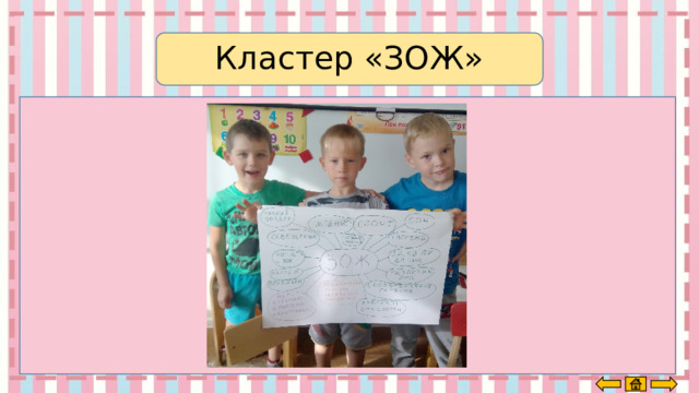 Кластер «ЗОЖ» 