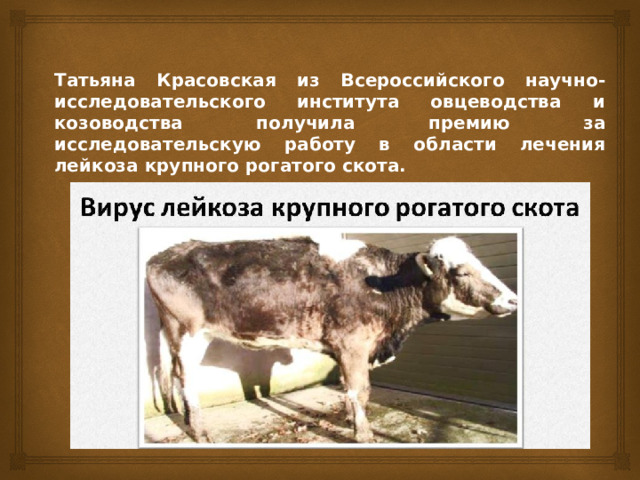 Татьяна Красовская из Всероссийского научно-исследовательского института овцеводства и козоводства получила премию за исследовательскую работу в области лечения лейкоза крупного рогатого скота. 