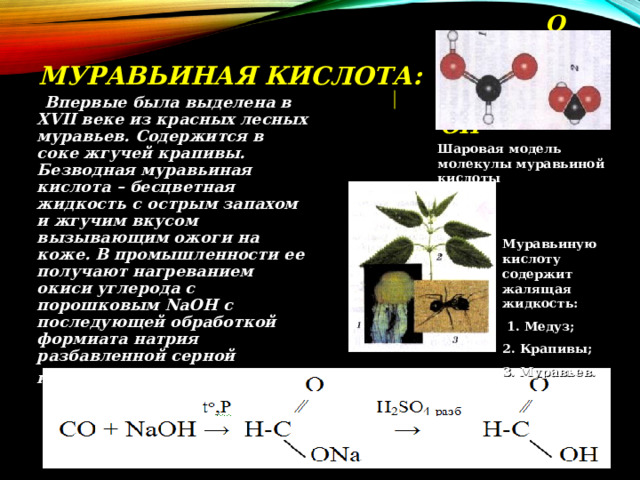  O      ⁄⁄  МУРАВЬИНАЯ КИСЛОТА: H-C      OH  Впервые была выделена в XVII веке из красных лесных муравьев. Содержится в соке жгучей крапивы. Безводная муравьиная кислота – бесцветная жидкость с острым запахом и жгучим вкусом вызывающим ожоги на коже. В промышленности ее получают нагреванием окиси углерода с порошковым NaOH с последующей обработкой формиата натрия разбавленной серной кислотой . Шаровая модель молекулы муравьиной кислоты Муравьиную кислоту содержит жалящая жидкость:  1. Медуз; 2. Крапивы; 3. Муравьев.  