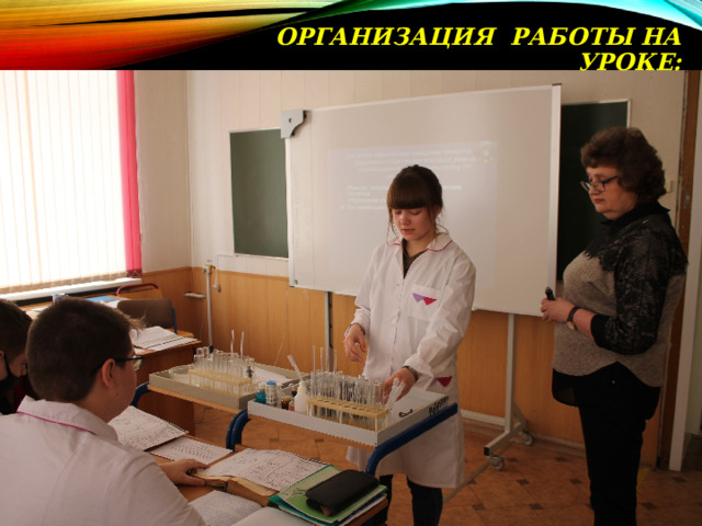 ОРГАНИЗАЦИЯ РАБОТЫ НА УРОКЕ: 
