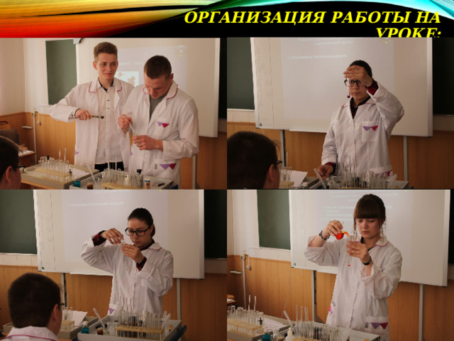 ОРГАНИЗАЦИЯ РАБОТЫ НА УРОКЕ: 