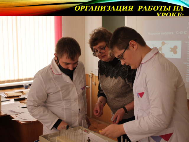 ОРГАНИЗАЦИЯ РАБОТЫ НА УРОКЕ: 