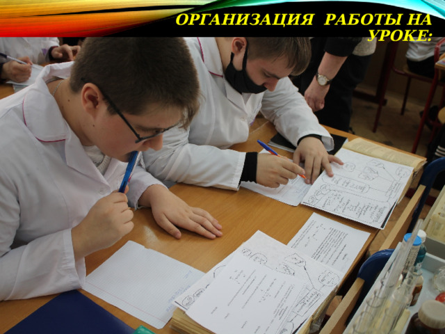 ОРГАНИЗАЦИЯ РАБОТЫ НА УРОКЕ: 