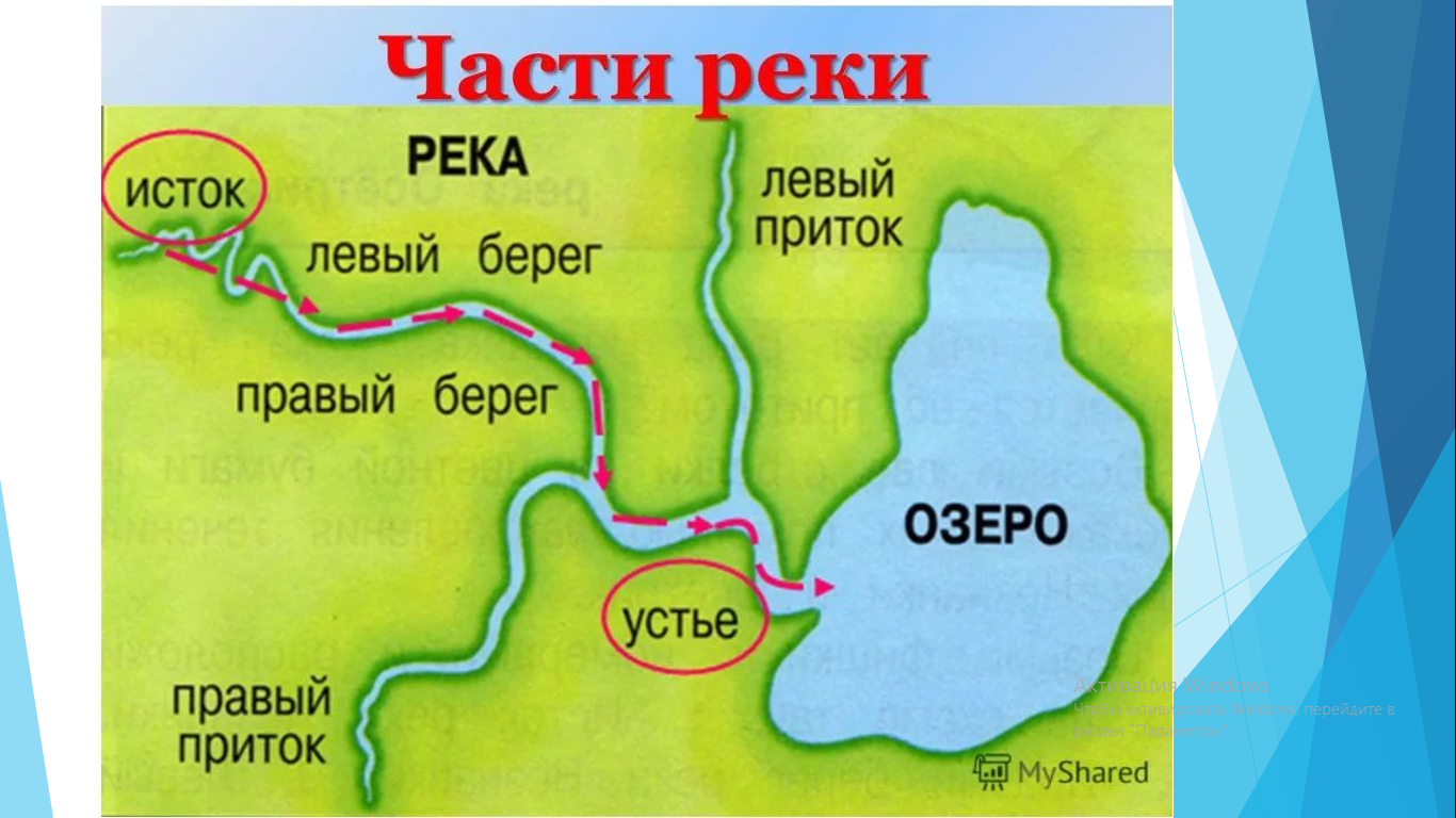 Методическая разработка урока географии в 6 классе по теме 