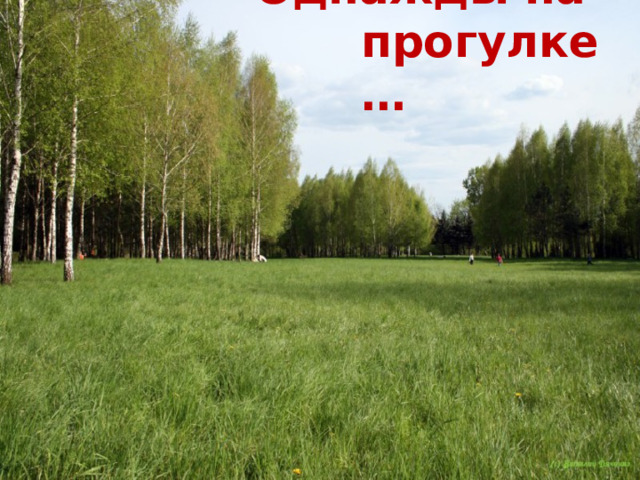 Однажды на прогулке… 