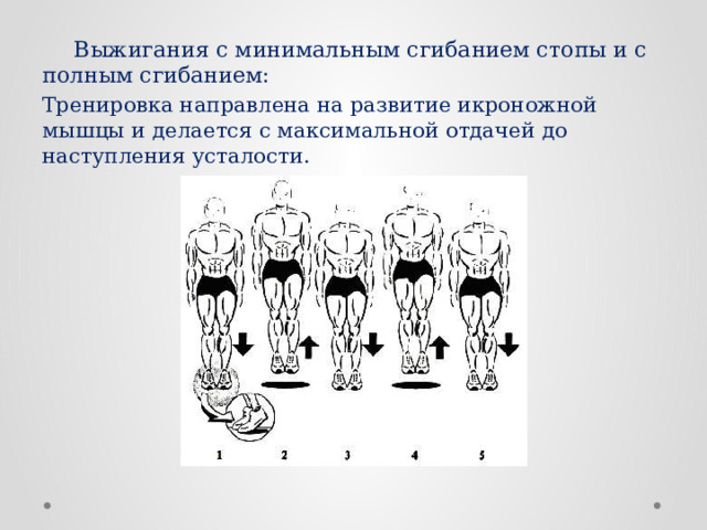  Выжигания с минимальным сгибанием стопы и с полным сгибанием: Тренировка направлена на развитие икроножной мышцы и делается с максимальной отдачей до наступления усталости. 