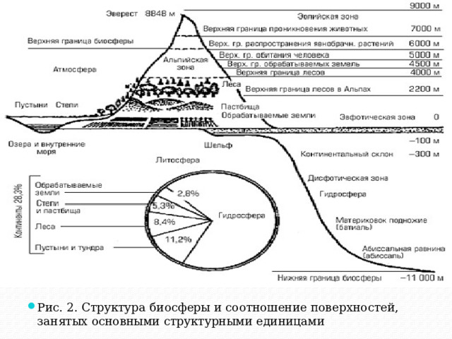 Рис. 2. Структура биосферы и соотношение поверхностей, занятых основными структурными единицами 