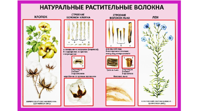 Растительные волокна ткани. Натуральные растительные волокна. Натуральные волокна растительного происхождения. Органические растительные волокна. Натуральные растительные ткани.