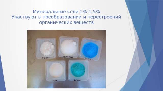Минеральные соли 1%-1,5%  Участвуют в преобразовании и перестроений органических веществ 