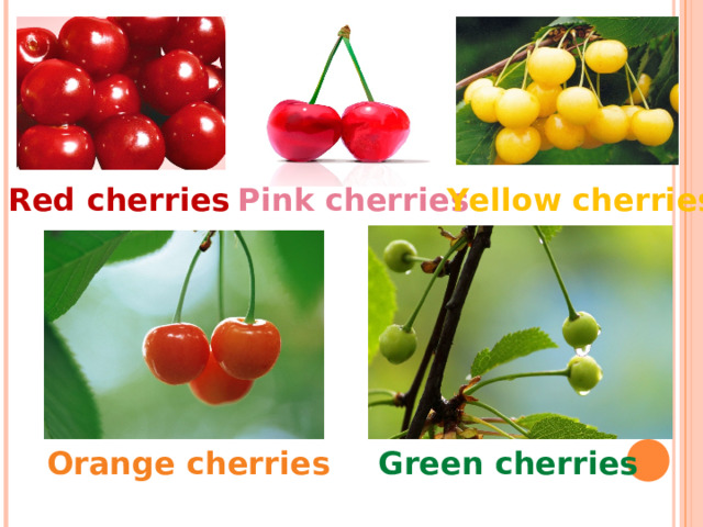 Red cherries Pink cherries Yellow cherries Orange cherries Green cherries 