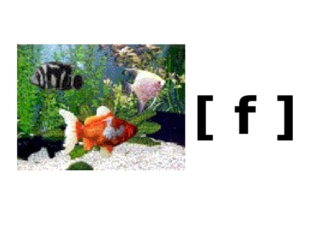 [ f ]   