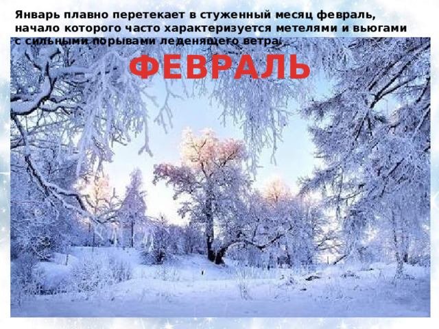 Январь плавно перетекает в стуженный месяц февраль, начало которого часто характеризуется метелями и вьюгами с сильными порывами леденящего ветра. ФЕВРАЛЬ 