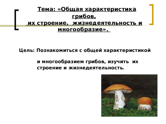   Тема: «Общая характеристика грибов,  их строение, жизнедеятельность и многообразие».    Цель: Познакомиться с общей характеристикой  и многообразием грибов, изучить их  строение и жизнедеятельность. 