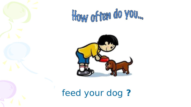 feed your dog ? 