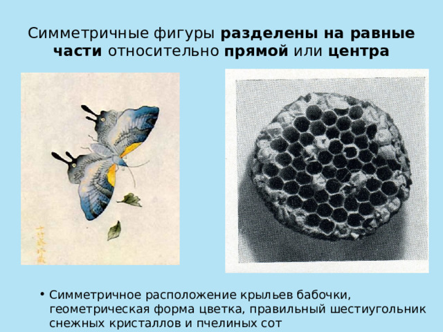 Симметричные фигуры разделены на равные  части относительно прямой или центра Симметричное расположение крыльев бабочки, геометрическая форма цветка, правильный шестиугольник снежных кристаллов и пчелиных сот 