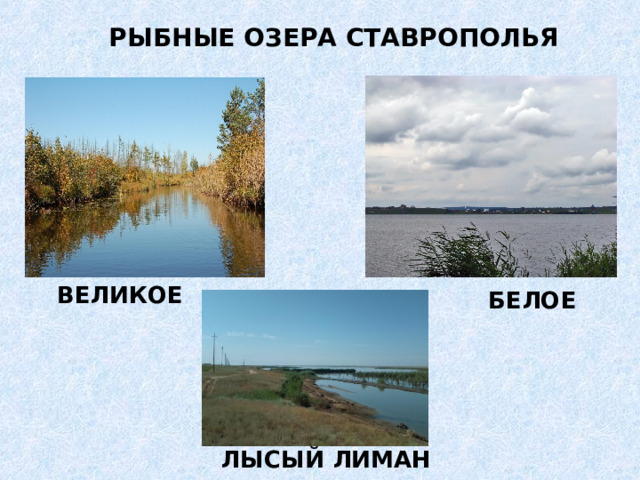 Водные богатства ставропольского края