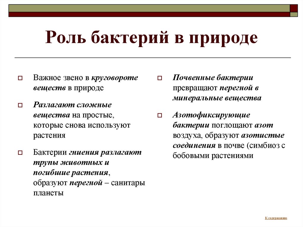 Какую отрицательную роль. Функции бактерий в природе. Роль бактерий в природе. Ролт бьактоерий в природе. Роль микроорганизмов в природе.