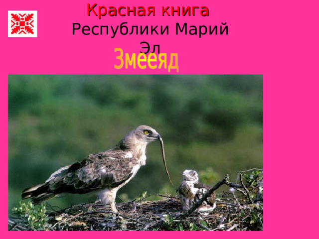 Красная книга республики марий