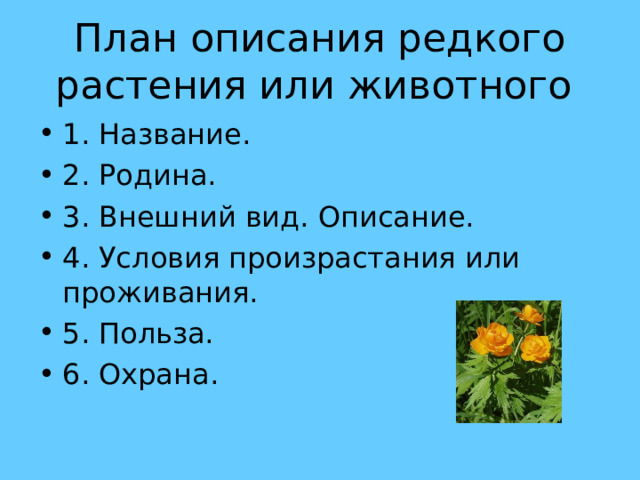 План описания погоды