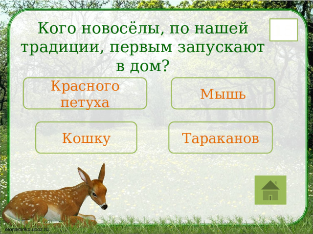 Кого новосёлы, по нашей традиции, первым запускают в дом? 15 Красного петуха Мышь Кошку Тараканов 