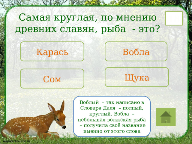 Самая круглая, по мнению древних славян, рыба - это? 18 Карась Вобла Щука Сом Воблый – так написано в Словаре Даля – полный, круглый. Вобла – небольшая волжская рыба – получила своё название именно от этого слова 