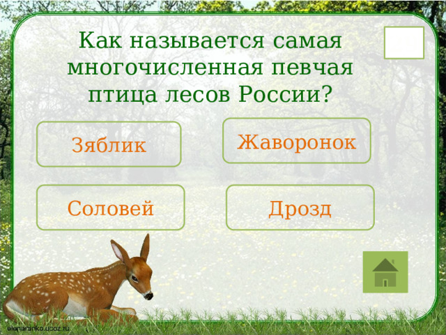 Как называется самая многочисленная певчая птица лесов России? 29 Жаворонок Зяблик Соловей Дрозд 