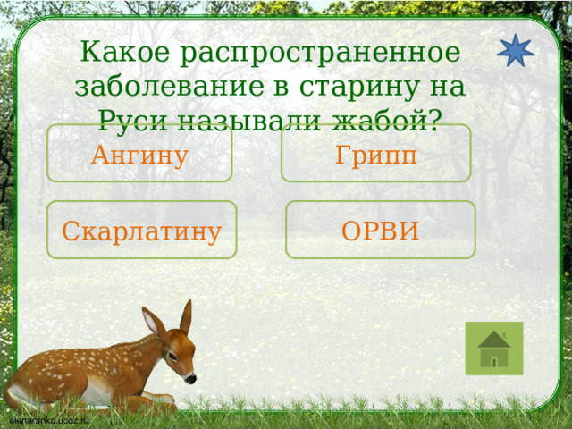 Какое распространенное заболевание в старину на Руси называли жабой? Ангину Грипп Скарлатину ОРВИ 