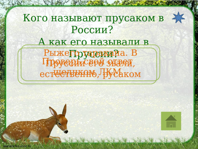 Кого называют прусаком в России? А как его называли в Пруссии? Рыжего таракана. В Пруссии его звали, естественно, русаком Проверь свой ответ щелчком ЛКМ 