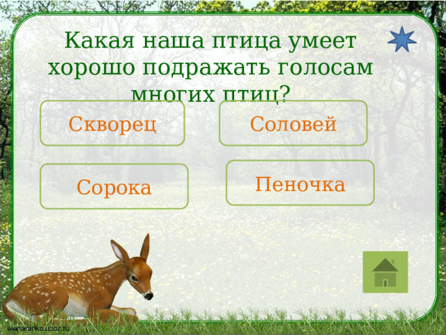 Какая наша птица умеет хорошо подражать голосам многих птиц? Скворец Соловей Пеночка Сорока 