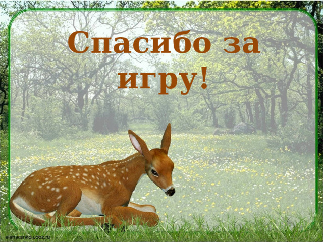 Спасибо за игру! 
