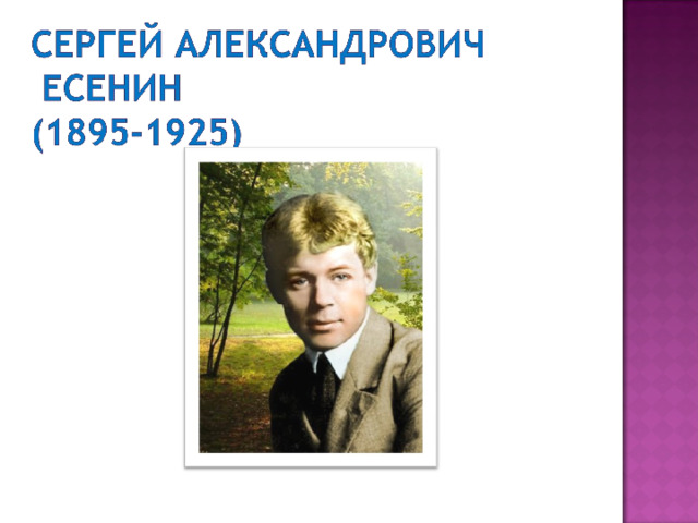 Сергей александрович есенин лебедушка презентация 4 класс